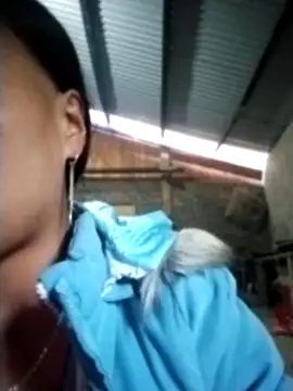 Snapshot of cute_love00 chatting on 22, 11, 2025 cute love00 online show from 22, 11, 2025