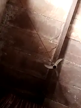 Soniya pandit online show from 13, 4, 2026