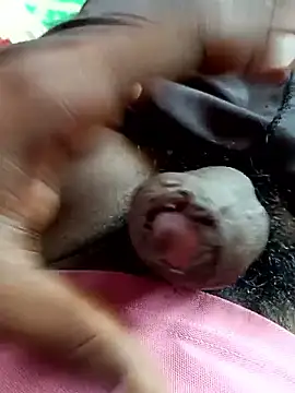 dolphiinn online show from 4, 11, 2025