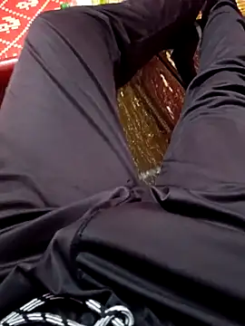 dolphiinn online show from 8, 11, 2025