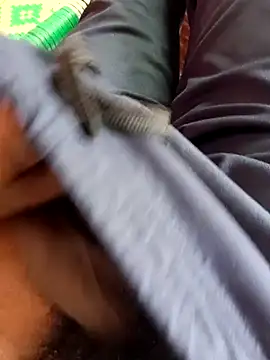 dolphiinn online show from 20, 11, 2025