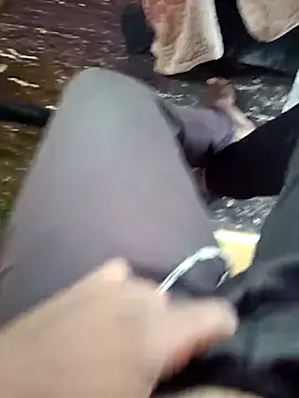 dolphiinn online show from 27, 11, 2025