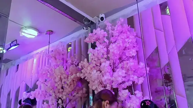 Snapshot of TessaCooper1 chatting on 9, 11, 2025 TessaCooper1 online show from 9, 11, 2025