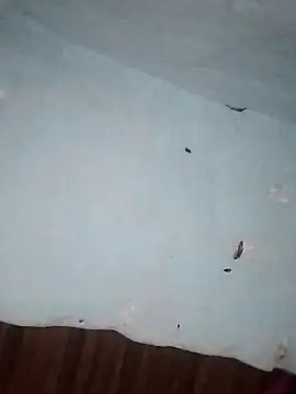 Snapshot of Rakhi_j chatting on 1, 2, 2026 Rakhi j online show from 1, 2, 2026