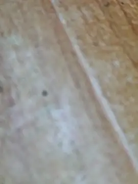 Markroco696 online show from 9, 10, 2025