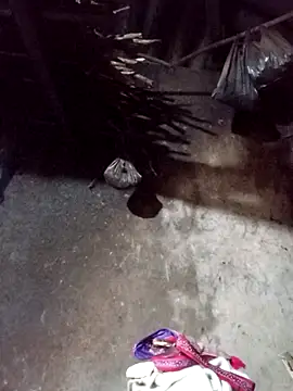  Helala  online show from 21, 11, 2025