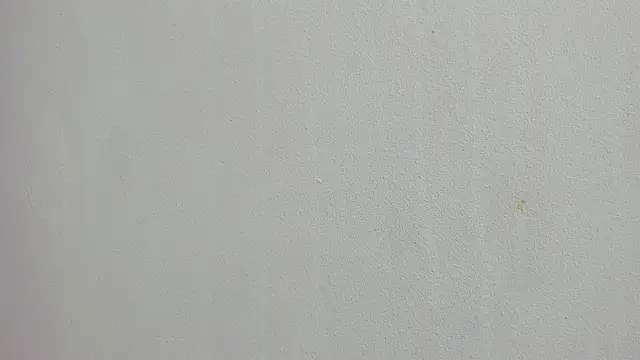 scarlett646 online show from 6, 3, 2026