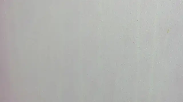 scarlett646 online show from 13, 3, 2026