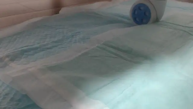 Snapshot of asuka_xoxo chatting on 19, 10, 2025 asuka xoxo online show from 19, 10, 2025