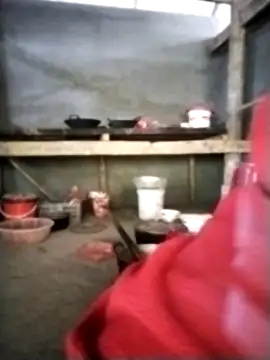 venu00 online show from 10, 1, 2026