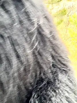 Snapshot of desiredude9 chatting on 1, 11, 2025 desiredude9 online show from 1, 11, 2025