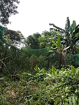 Ngocmi909 online show from 21, 4, 2026