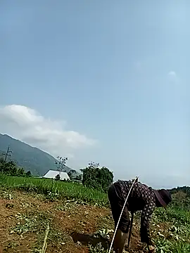 Ngocmi909 online show from 28, 4, 2026