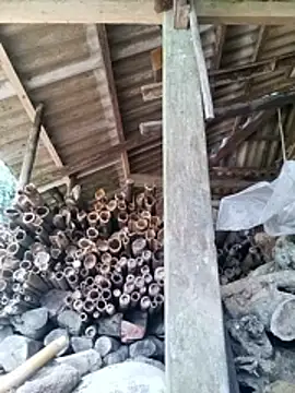 miss-su online show from 27, 4, 2026