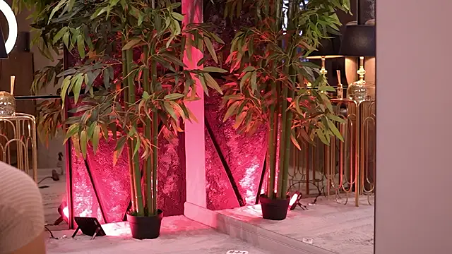 StephieRouse online show from 12, 3, 2026