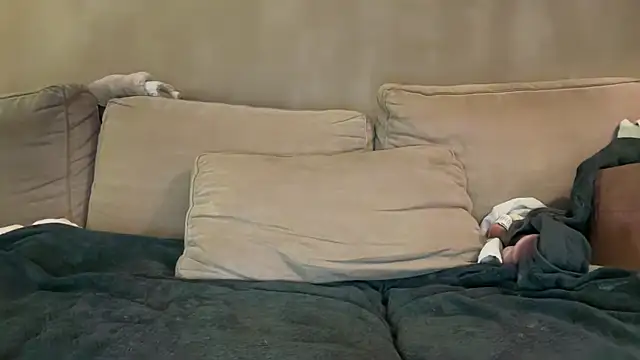 Rimvideo online show from 12, 2, 2026