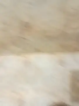 king godgm online show from 20, 12, 2025