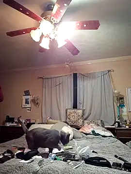 Snapshot of mresquared chatting on 25, 3, 2026 mresquared online show from 25, 3, 2026