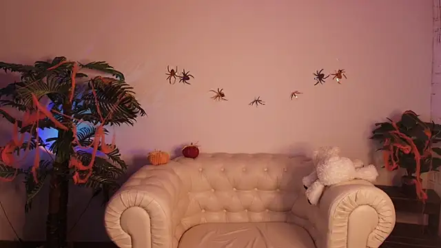 Moana light online show from 7, 11, 2025