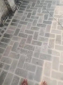 PunjabiSardarBull online show from 20, 11, 2025