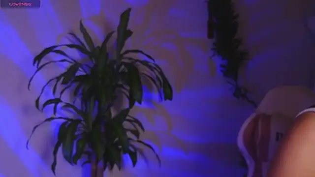 bri von dhara   online show from 26, 4, 2026