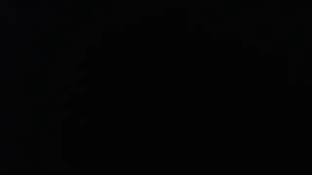 knodli online show from 19, 11, 2025