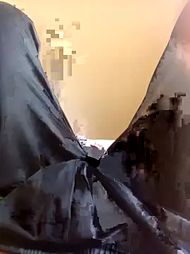 WrinkledTriops online show from 29, 3, 2026