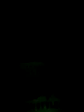 Lisa pusy online show from 15, 9, 2025