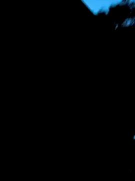 Lisa pusy online show from 6, 10, 2025