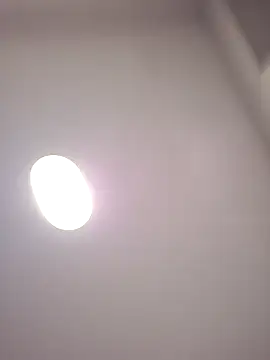 Danypeluche online show from 15, 12, 2025