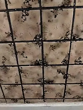 rosembertg online show from 2, 10, 2025