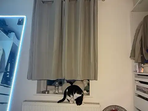 KayleeBella online show from 3, 12, 2025