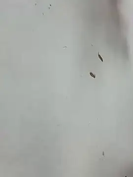 Baby-mmm online show from 10, 1, 2026