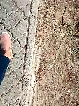 beerant online show from 5, 10, 2025