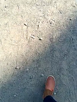 beerant online show from 16, 11, 2025