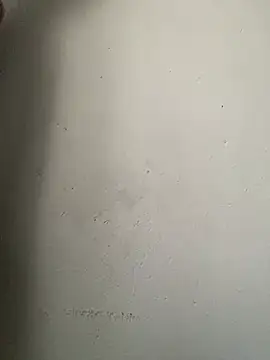 Dickssnake online show from 12, 2, 2026