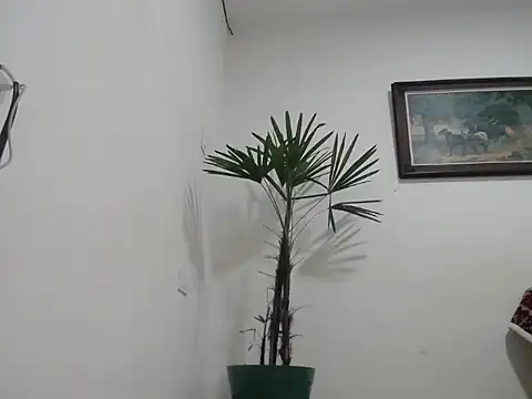 Young handsome online show from 11, 9, 2025