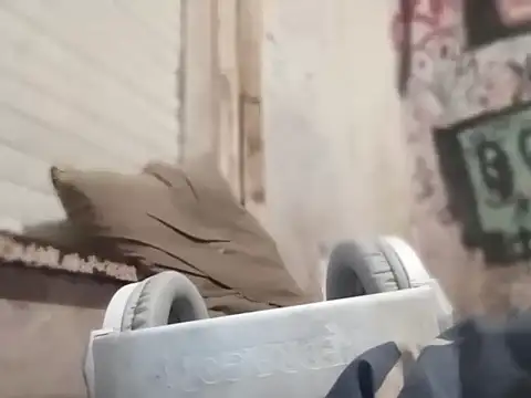 MYM69 - online show from 8, 3, 2026