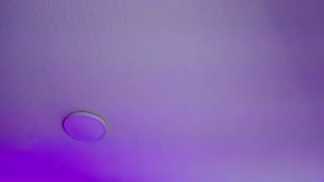  Charlotte Collins  online show from 21, 2, 2026