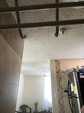 kattytamil online show from 2, 10, 2025