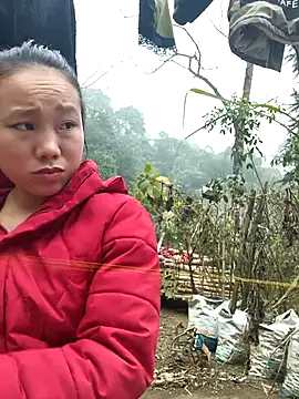 liu-liusexy online show from 15, 1, 2026