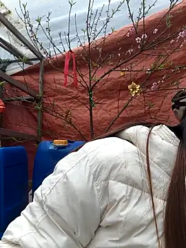 liu-liusexy online show from 18, 2, 2026