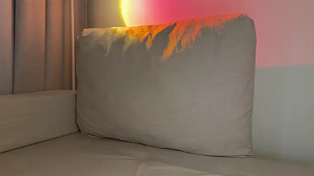 Meowmacito online show from 28, 7, 2026