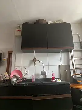 bruna438 online show from 25, 4, 2026