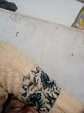 Payal950 online show from 3, 12, 2025