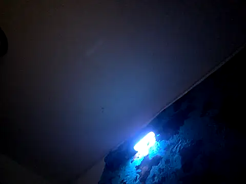 Snapshot of Bigdickdavis6969 chatting on 15, 2, 2026 Bigdickdavis6969 online show from 15, 2, 2026