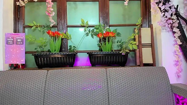 emma ayala online show from 22, 4, 2026