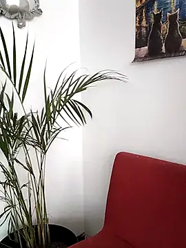 luna love xoxo online show from 9, 9, 2025