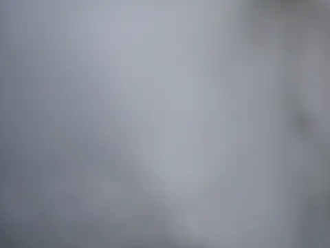 Snapshot of Ricotta1 chatting on 22, 12, 2025 Ricotta1 online show from 22, 12, 2025