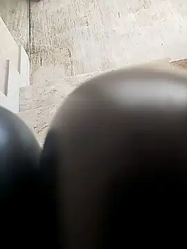 TaraWild online show from 4, 2, 2026